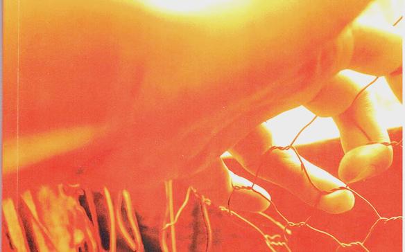 ロサリア・デ・カストロ ロサリア・デ・カストロの最初の偉大な著作は『カンタレス・ガジェゴス』であり、1863 年に出版されました。